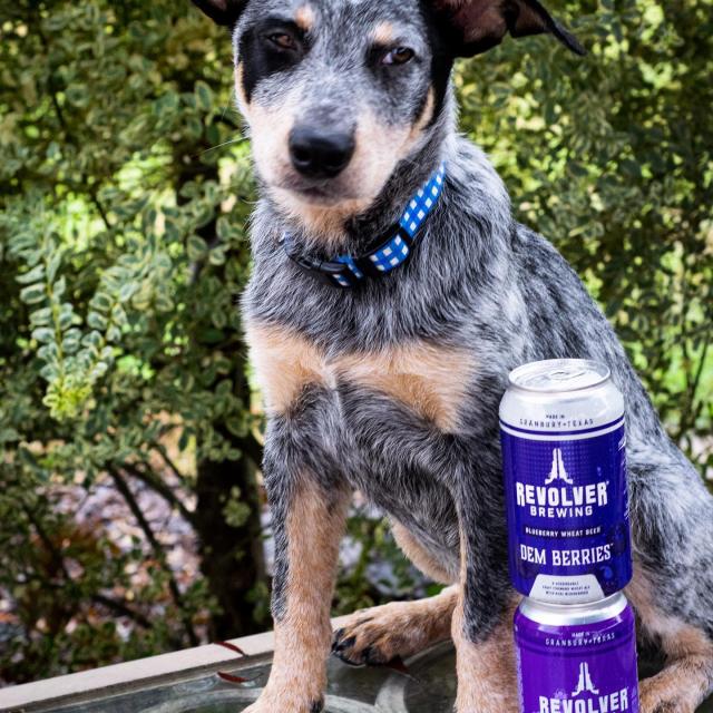 When we hear you didn’t have any Revolver over Labor Day weekend

Hope everyone had a great holiday weekend and enjoyed some quality brews👏🏼 Leave your best caption for this picture in the comments below👇🏼
#texascraft #puppiesofinstagram